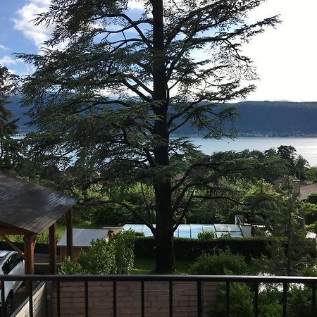 Charmant T2 Vue Lac Veyrier Du Lac / Annecy Bagian luar foto